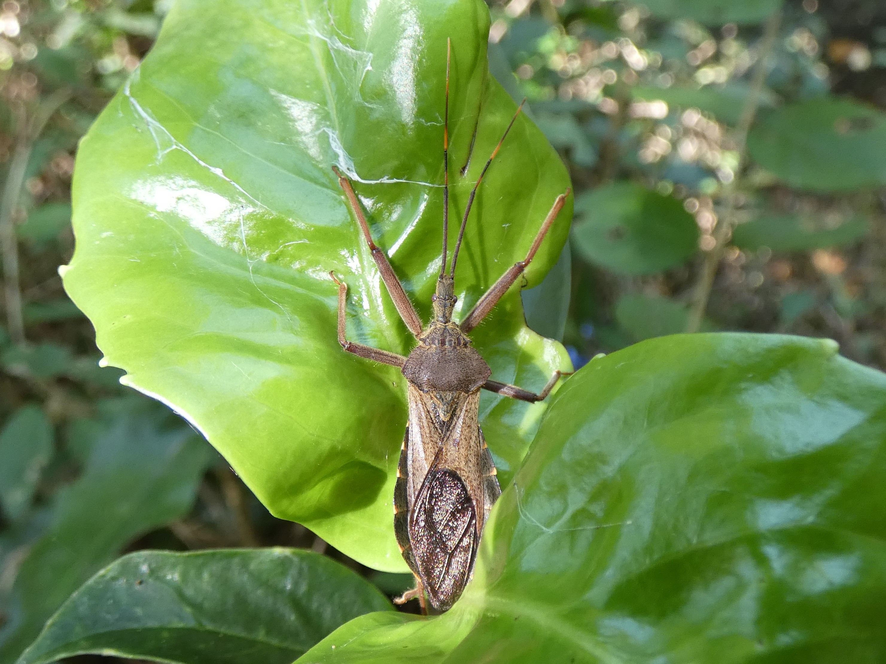 photo_4